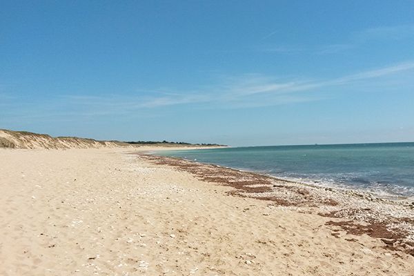 Ile de Ré Camping Plage
