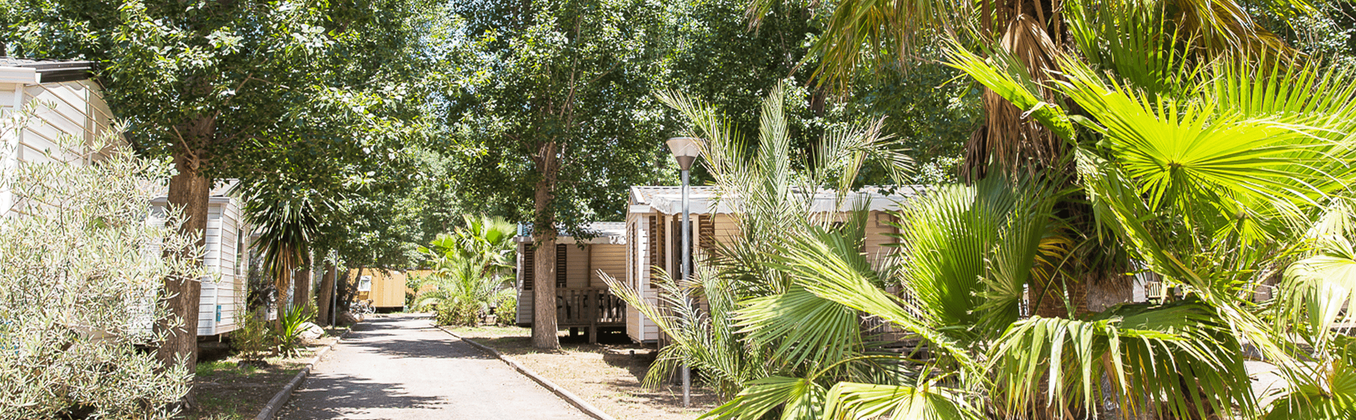 Camping L'Etoile de Mer **** Camping L'Etoile de Mer
