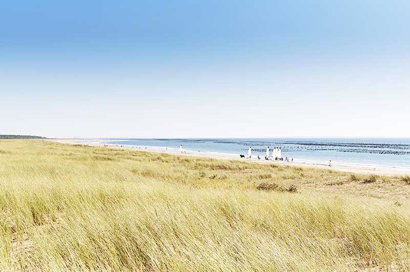 Plages La Faute sur mer Camping Le Pavillon Bleu Vendée