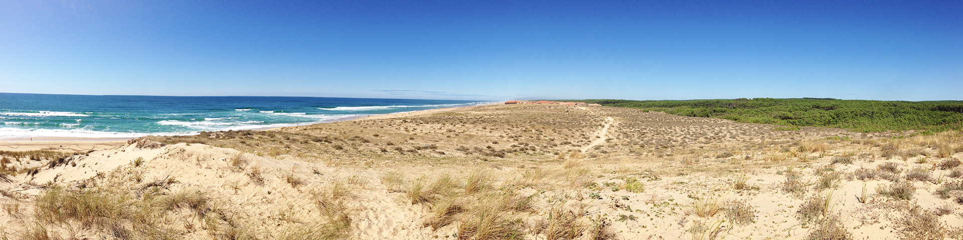Landes