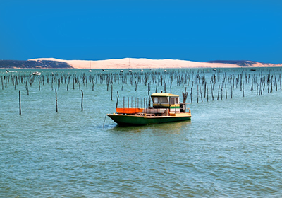 Aquitaine · Bassin d'Arcachon